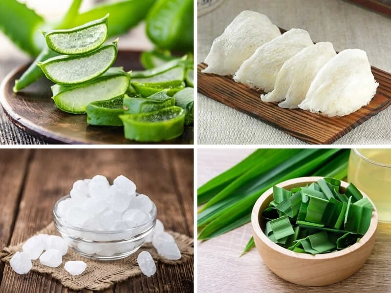 Cách Nấu Chè Yến Nha Đam Đường Phèn – Món Giải Nhiệt Bổ Dưỡng, Đẹp Da