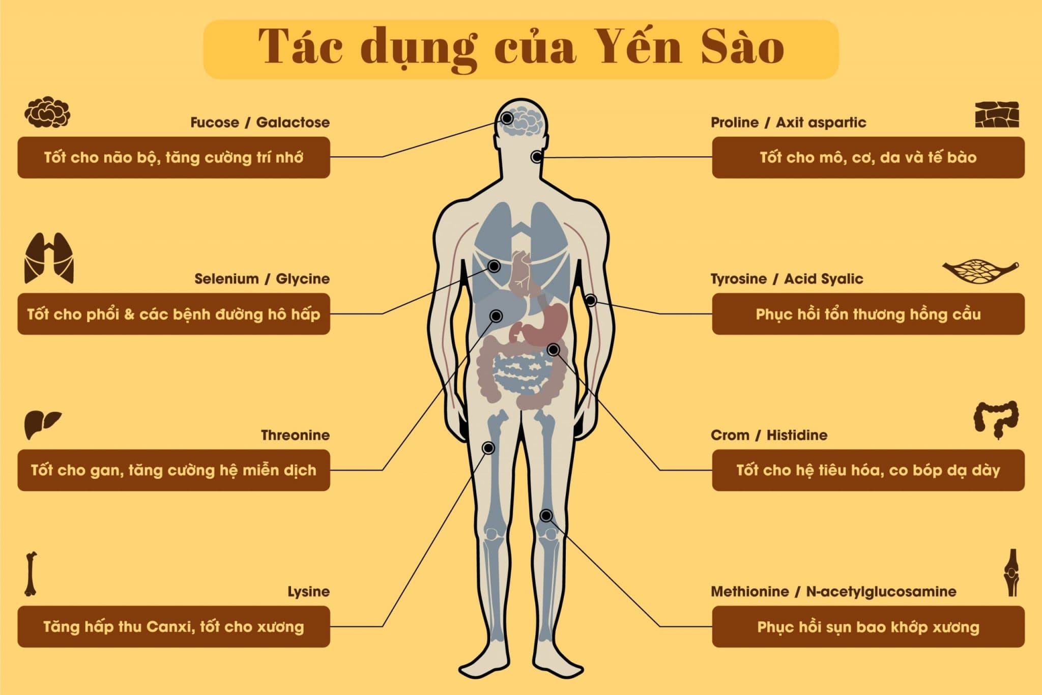 Hình ảnh minh họa