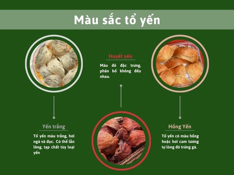 Làm sao phân biệt yến sào thật và giả? Những mẹo đơn giản mà ai cũng nên biết