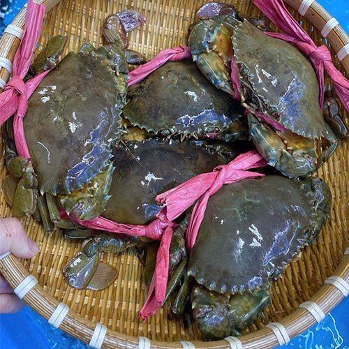 Cua Thịt Cà Mau